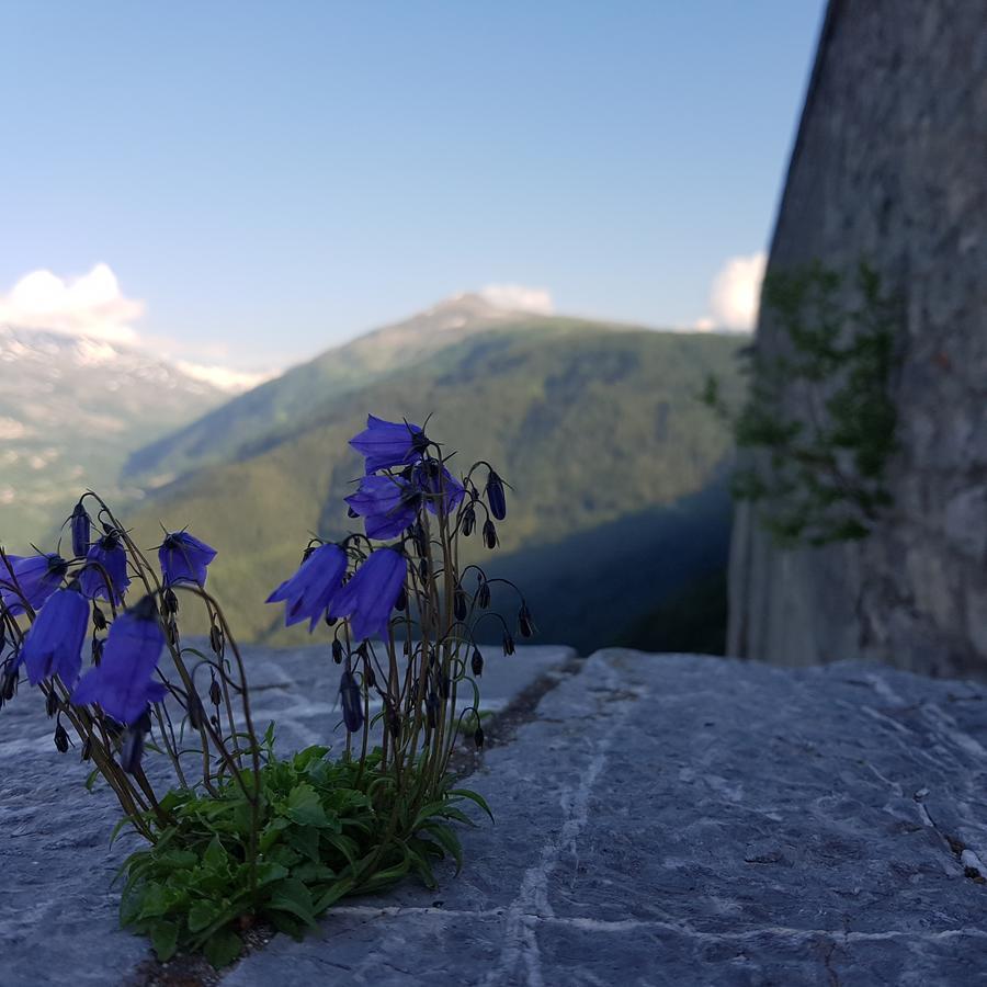 Hotel-Chalet Les Melezes Валоар Екстериор снимка